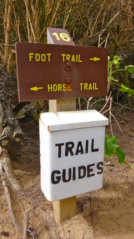 2013/01/08 Kauai island Trail Trip Day.2 Maha Ulepu Coast Trail _b0220886_14453613.jpg