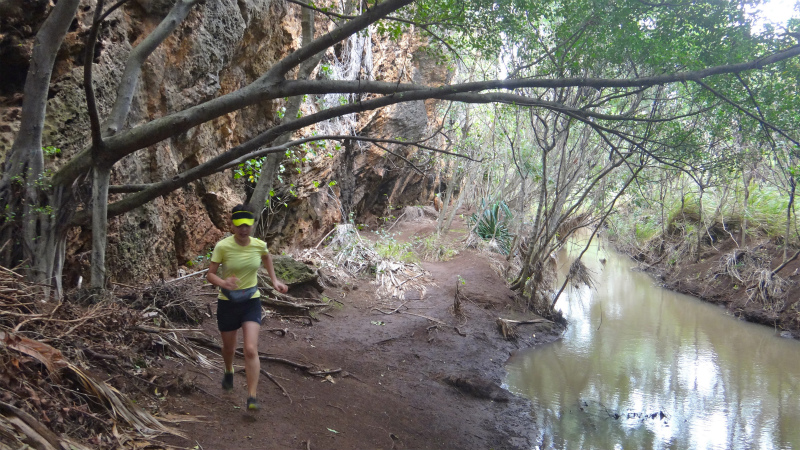 2013/01/08 Kauai island Trail Trip Day.2 Maha Ulepu Coast Trail _b0220886_14554641.jpg