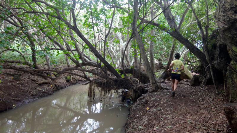 2013/01/08 Kauai island Trail Trip Day.2 Maha Ulepu Coast Trail _b0220886_1456985.jpg