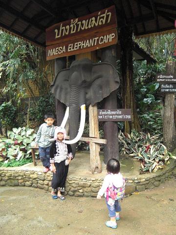 Mae Sa Elephant Training Camp \'12_c0253488_12355016.jpg
