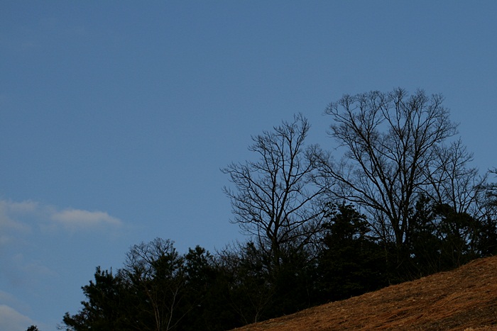 d0256891_16491752.jpg