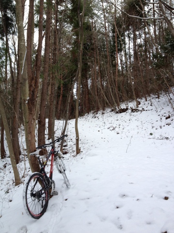 1897.今年は雪が多い_b0118097_23541083.jpg