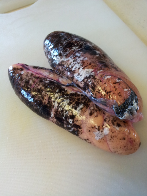 まだらの子の煮つけ Tasogaredokiの独り言