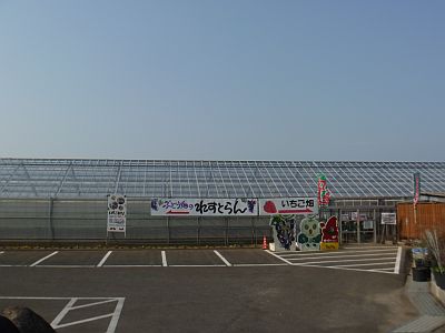 e0198197_142903.jpg