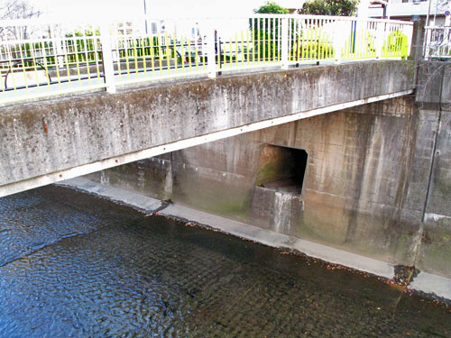 c0163001_23342757.jpg