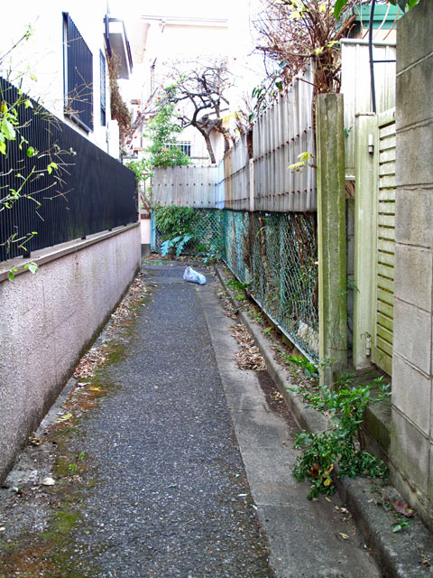 c0163001_2335518.jpg