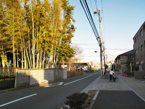c0163001_2335666.jpg
