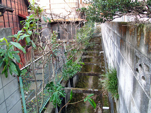 c0163001_233762.jpg