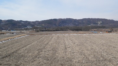 e0304702_8521513.jpg