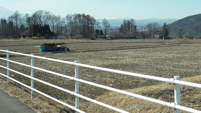 e0304702_8595880.jpg