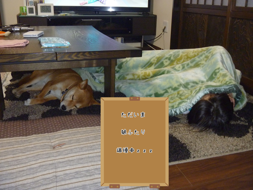 b0283404_21492780.png