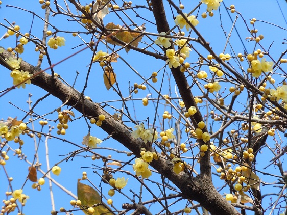 b0209810_133147.jpg