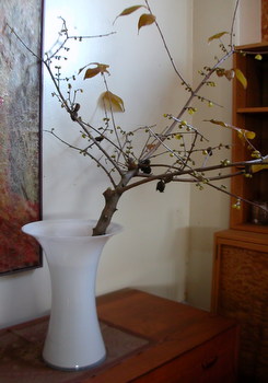 c0100110_1330714.jpg