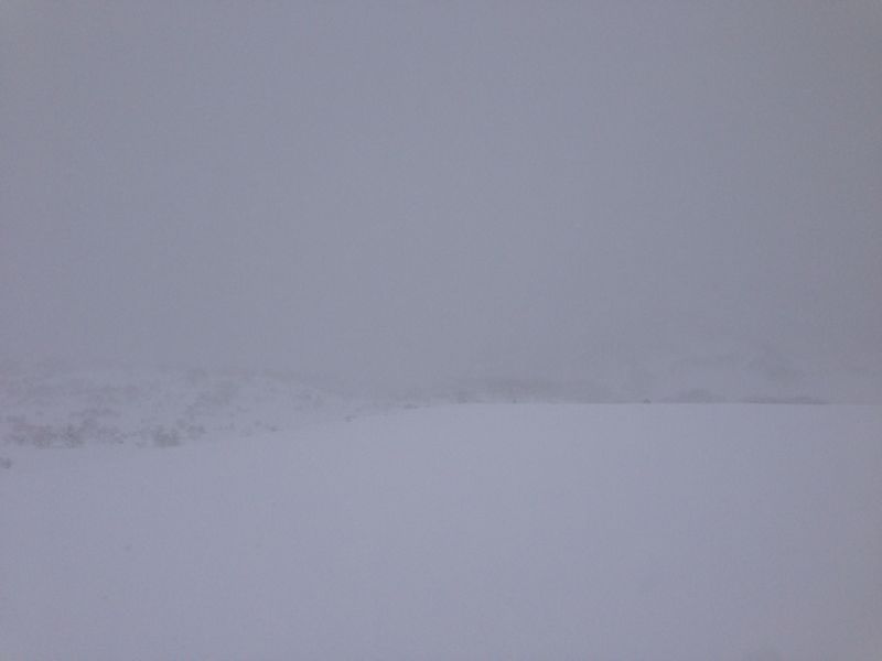 c0154313_23394561.jpg