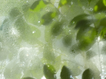 a0254318_2514197.jpg