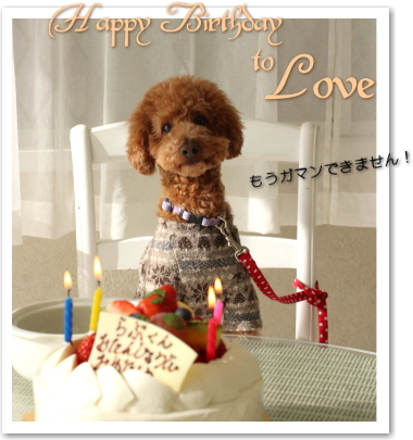 Happy Birthday ☆_b0232324_16303123.jpg