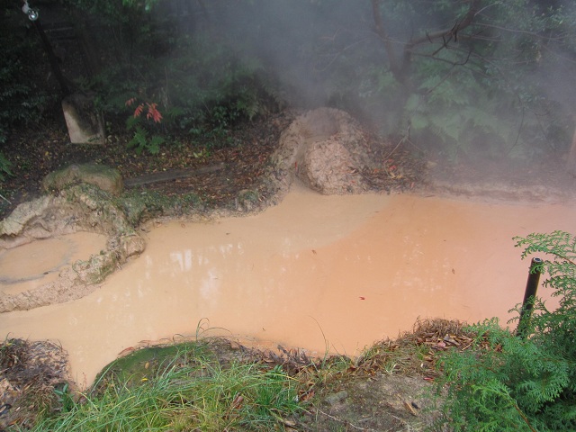 e0303726_618216.jpg