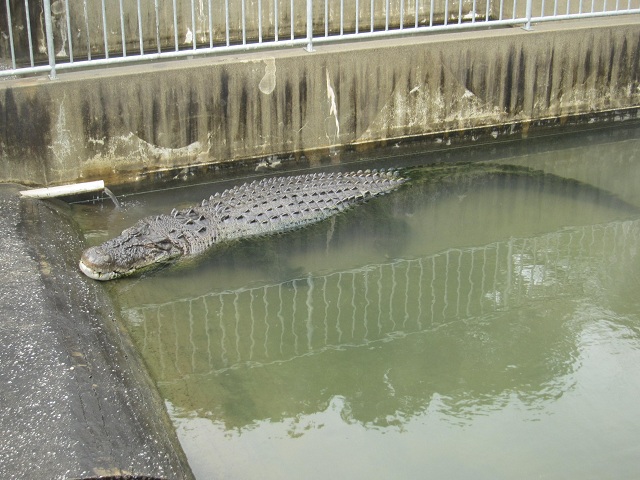 e0303726_6193979.jpg