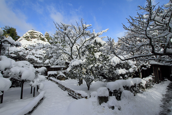 大原雪景色 －宝泉院－_b0169330_7463749.jpg