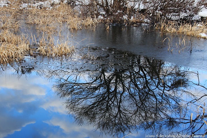 c0244037_228446.jpg