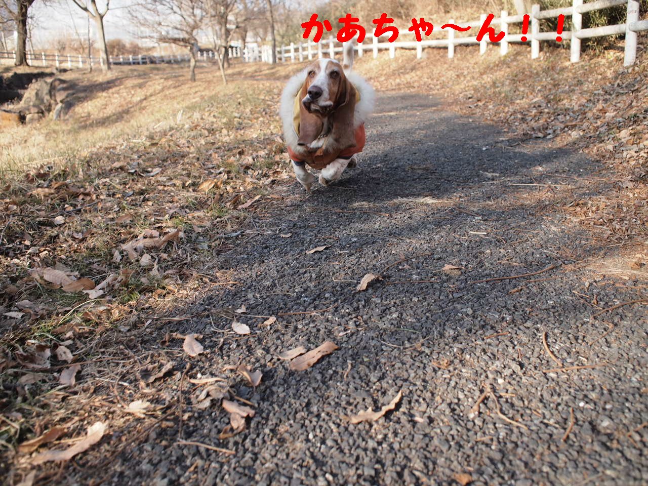 a0299945_9421182.jpg