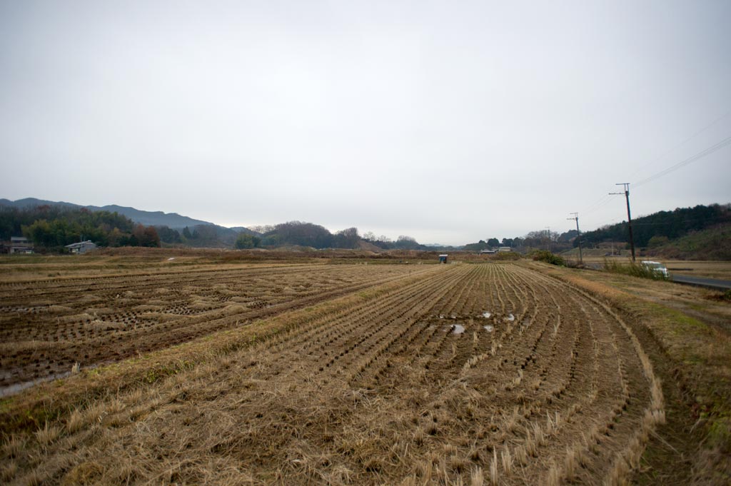 ◆磐余池跡　奈良県桜井市，橿原市_b0023047_5441847.jpg