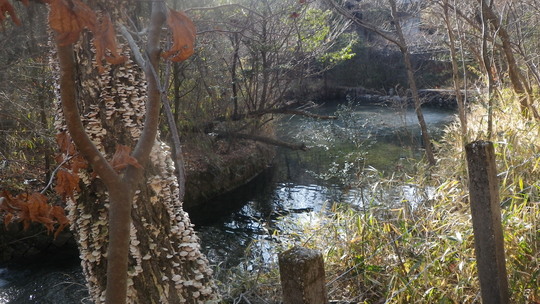 c0042847_18305846.jpg