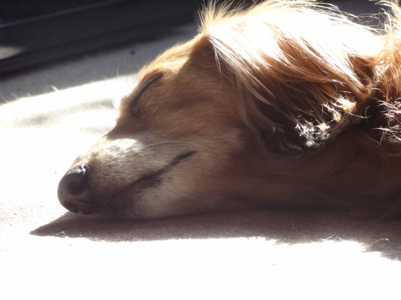 c0121550_16361141.jpg