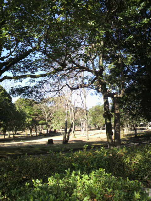 c0206352_2341650.jpg