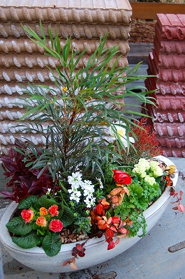 e0025655_5551837.jpg