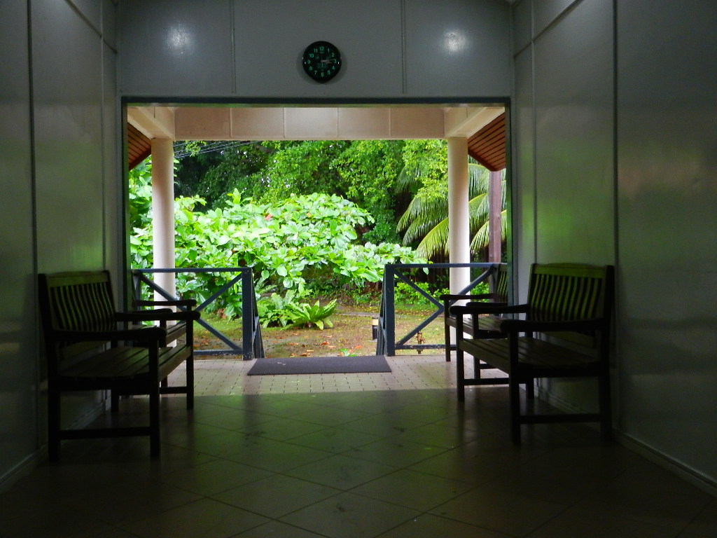 d0137658_17572.jpg