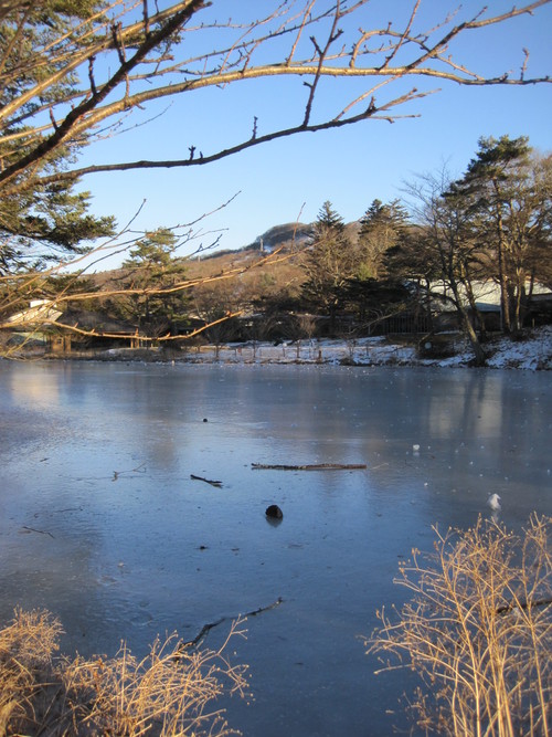 f0236260_16401192.jpg