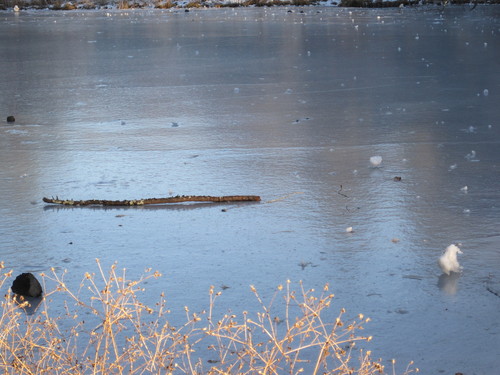 f0236260_16413441.jpg