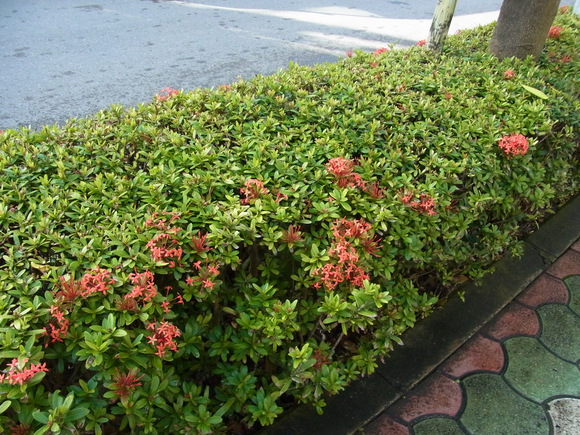b0194267_1683944.jpg