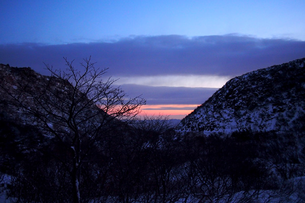 a0207672_18062.jpg