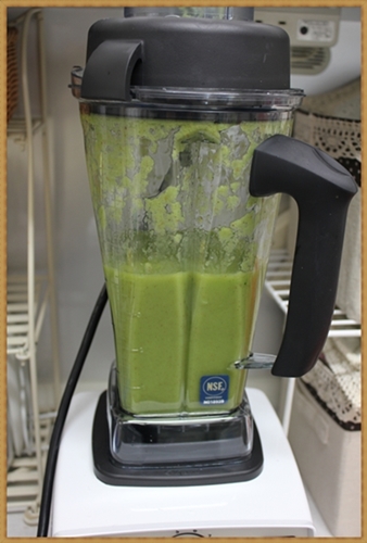 Vitamix_c0222474_21251982.jpg