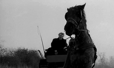 『ニーチェの馬 - The Turin Horse 』　　A Torinói ló　を観る_d0160581_2192233.jpg