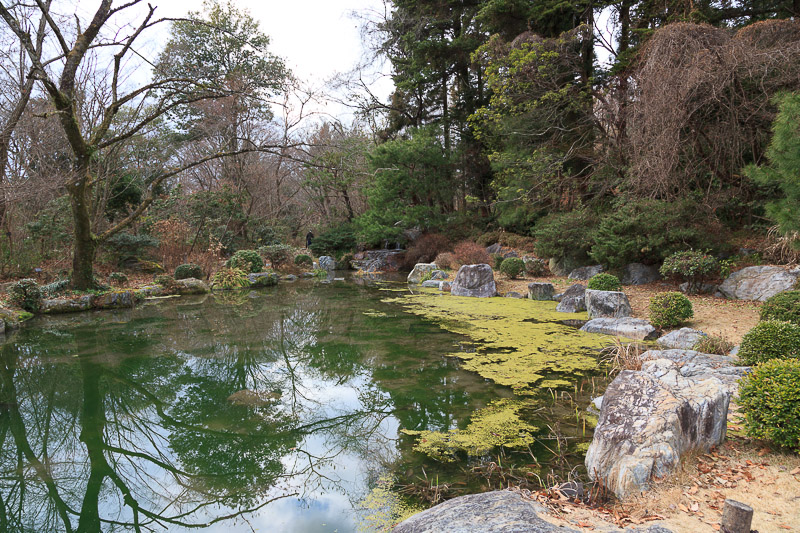 2013年　植物園へ・・・　前編_f0224083_1735668.jpg