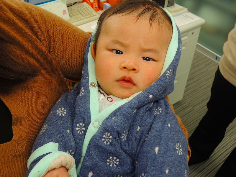 赤ちゃんがやってきた はなおか日和 赤ちゃんがやってきた はなおか日和