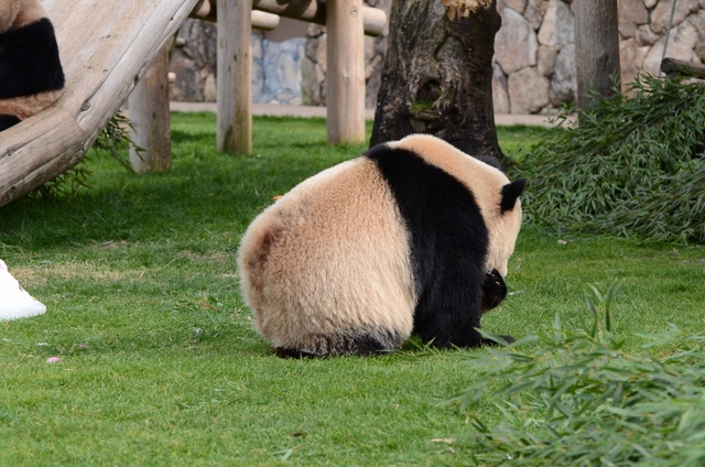 a0052986_034155.jpg