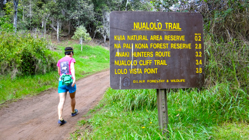 2013/01/09 Kauai island Trail Trip Day.3 Nu\'alolo Trail-Nu\'alolo Cliff trail-Awa\'awapuhi Trail_b0220886_1203721.jpg