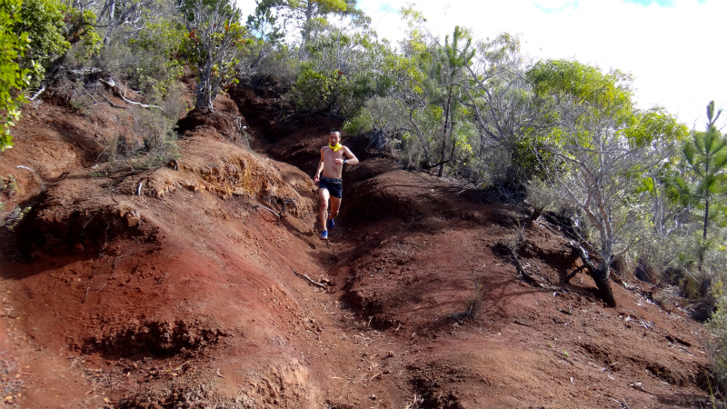 2013/01/09 Kauai island Trail Trip Day.3 Nu\'alolo Trail-Nu\'alolo Cliff trail-Awa\'awapuhi Trail_b0220886_1225910.jpg