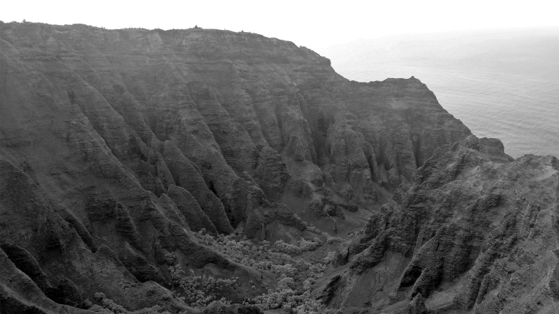 2013/01/09 Kauai island Trail Trip Day.3 Nu\'alolo Trail-Nu\'alolo Cliff trail-Awa\'awapuhi Trail_b0220886_1235262.jpg