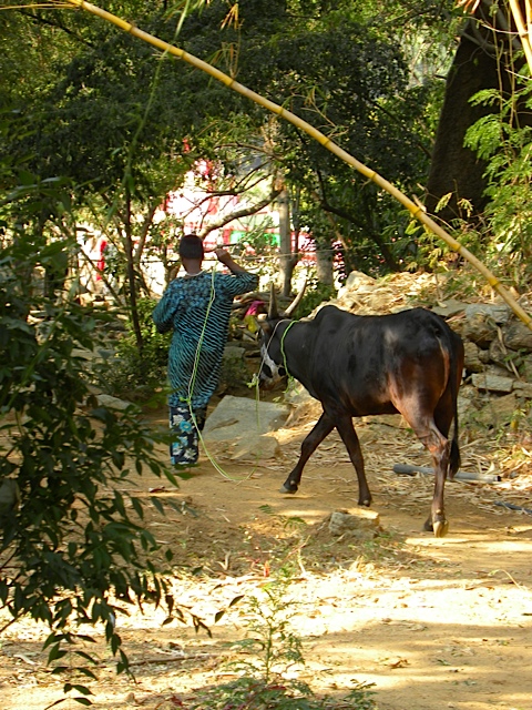 チルドレンズ・パラダイス　in INDIA_a0262689_1527984.jpg