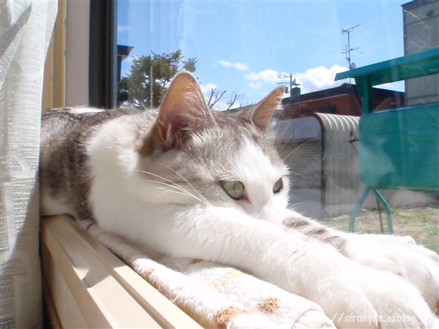 a0159490_13102187.jpg