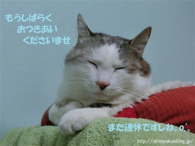 a0159490_13132798.jpg