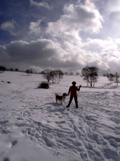 a0093592_2040586.jpg