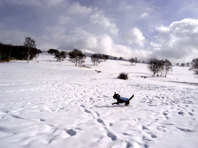 a0093592_2423854.jpg