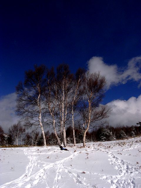 a0093592_2443679.jpg