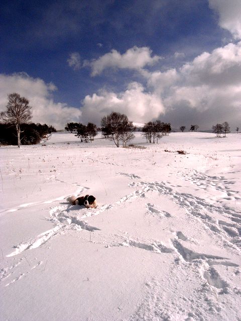a0093592_244566.jpg